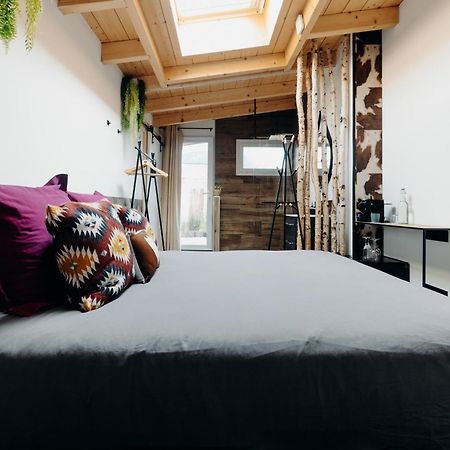 La Villa D'Helene 2 - Chambres D'Hotes Bnb Et Appartements - Cluses Kültér fotó